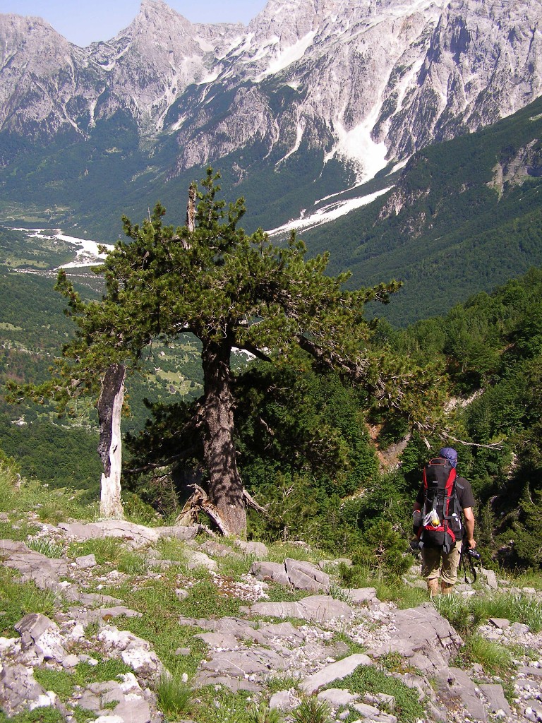 img00114.jpg
