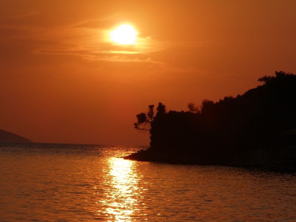 img00239.jpg