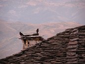 Gjirokastër,  10.7.2008 