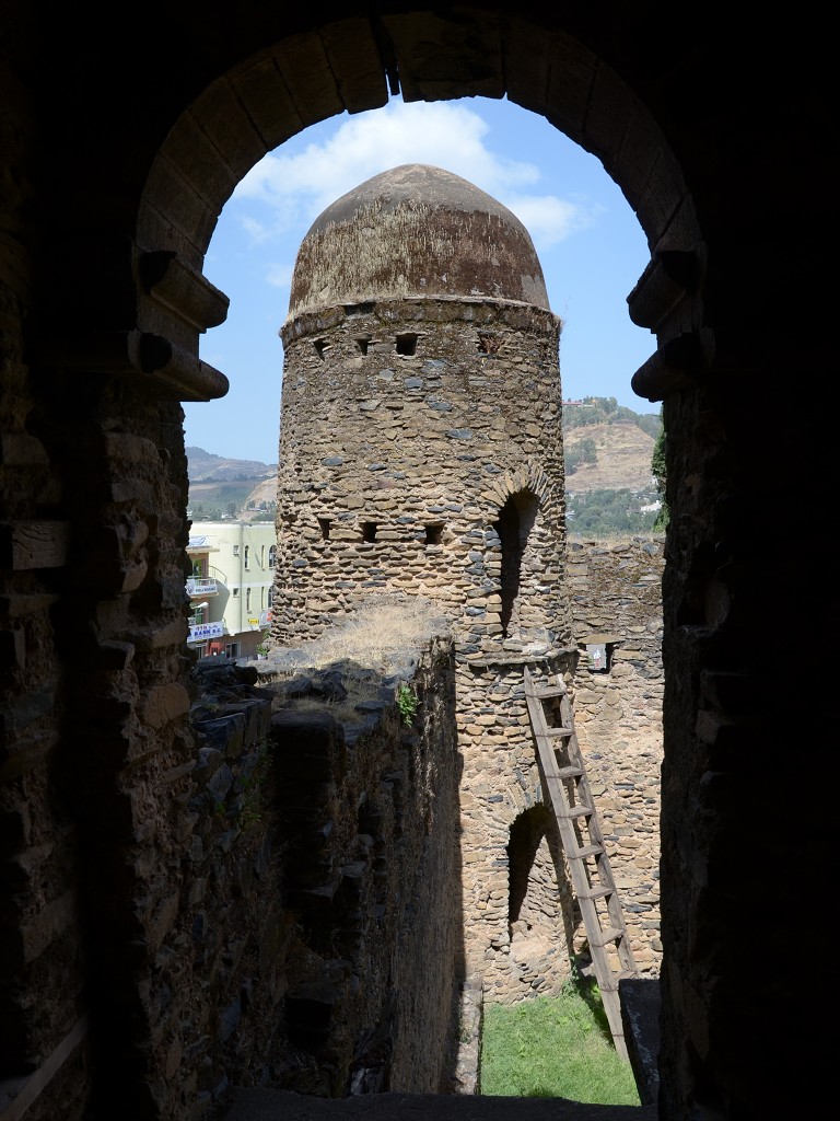 img00216.jpg