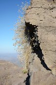 Lalibela, 25.12.2012 