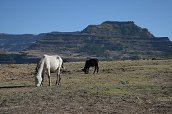 Lalibela, 25.12.2012 