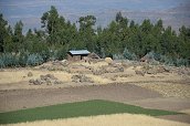 Lalibela, 25.12.2012 