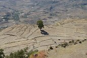 Lalibela, 25.12.2012 