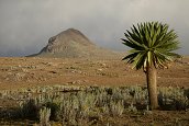 Sanetti Plateau - , 15.12.2012 