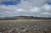 cesta ze Sanetti Camp na Tullu Deemtu (4377m) - , 16.12.2012 