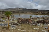 cesta ze Sanetti Camp na Tullu Deemtu (4377m) - , 16.12.2012 