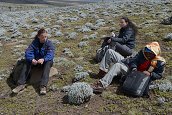 cesta ze Sanetti Camp na Tullu Deemtu (4377m) - , 16.12.2012 