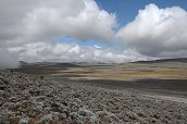 cesta ze Sanetti Camp na Tullu Deemtu (4377m) - , 16.12.2012 