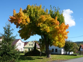 Okolí Svrčovce 13.10.2013